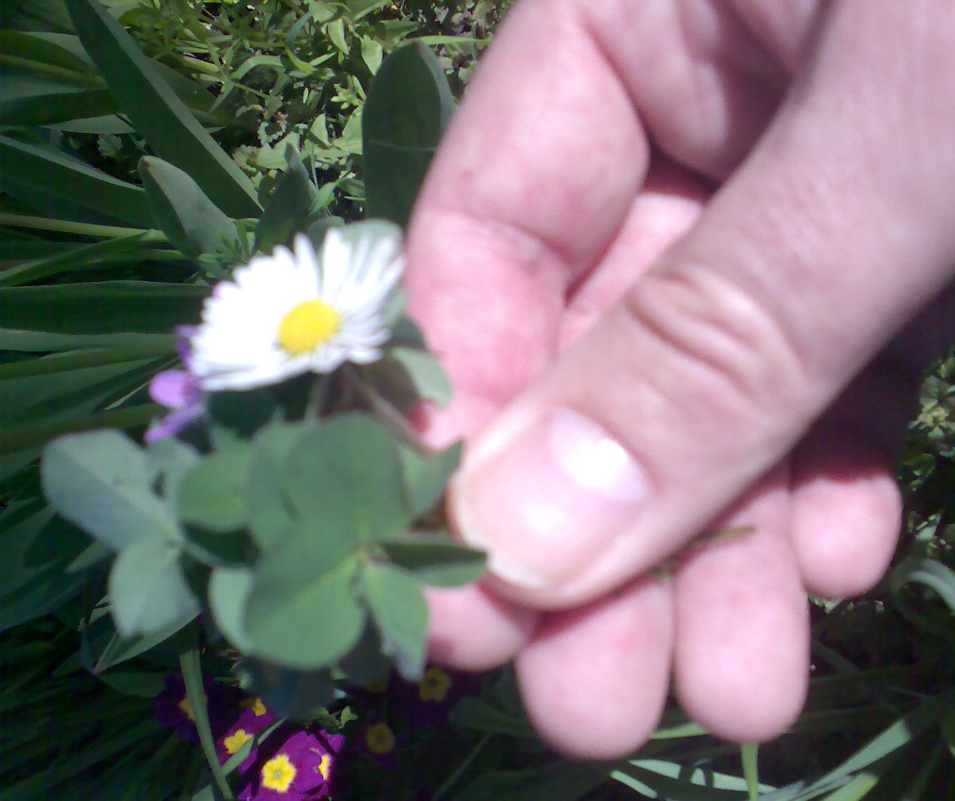 �ty�l�stky v dlani