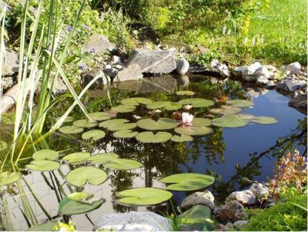 jez�rko v �holi�k�ch