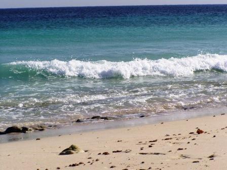 mo�e l�sky na ostrov� Kish