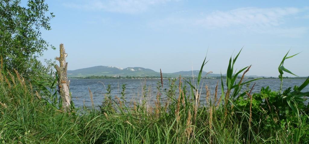 nov� ml�ny a p�lava